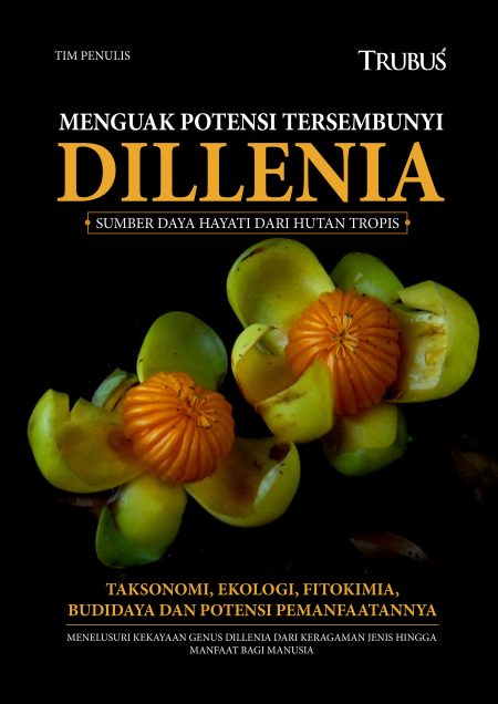 Menguak Potensi Tersembunyi Dillenia : Sumber Daya Hayati Dari Hutan Tropis